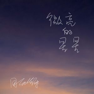 微亮的星星