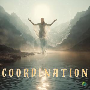 Coordination
