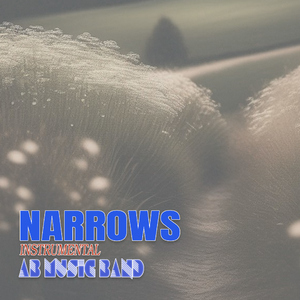 Narrows (Instrumental)