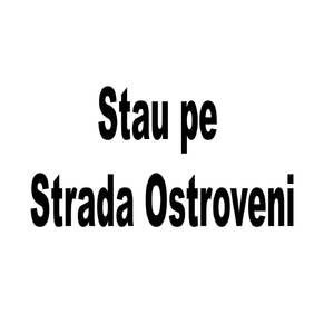 Stau pe Strada Ostroveni