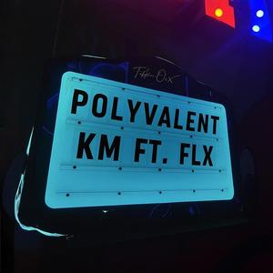 Polyvalent (feat. Flx)