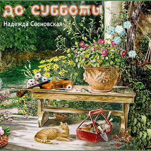 Ожидание непогоды