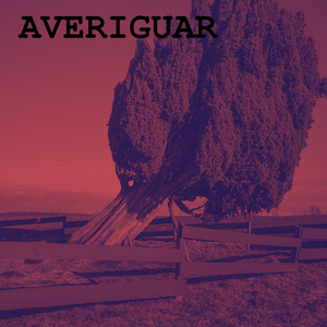 Averiguar