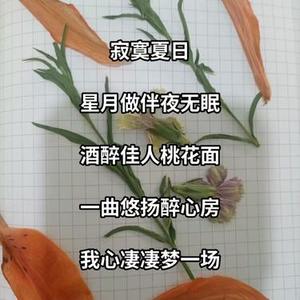 没唱完的昨天