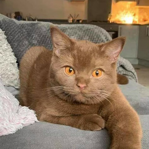 Jusqu'a L'Aube (slowed)