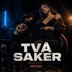 TVÅ SAKER