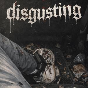 Disgusting (feat. imluhq)