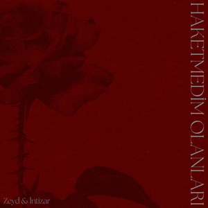 Haketmedim Olanları