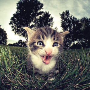 Je veux juste qu’on puisse lover