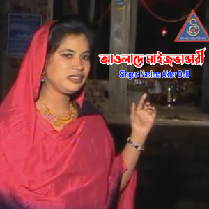 আওলাদে মাইজভান্ডারী