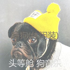 睡觉的小狗-冷静