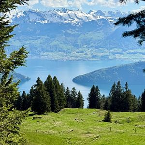 一帘幽梦（古筝曲）