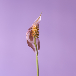 Руки липкие