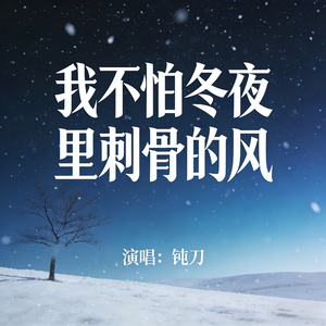 我不怕冬夜里刺骨的风