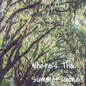 Where’s The Summer Gone?