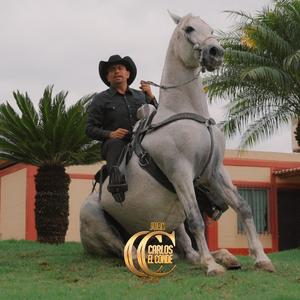 El Corrido de Raymundo Casas Rubias