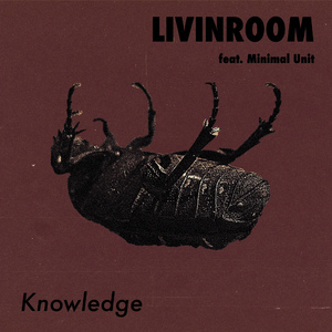Knowledge (feat. Minimal Unit)