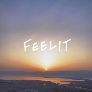 Feelit