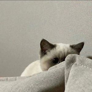 星海相逢的我们