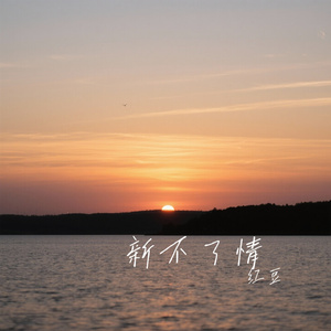 新不了情（Cover 李翊君）