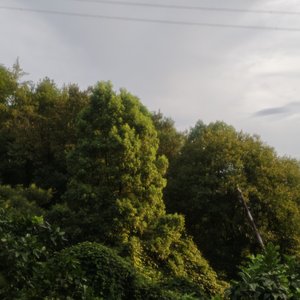 GOOD BYE MY LOVE 变奏版