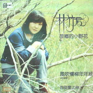 风吹杨柳年年绿