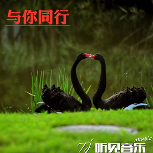 与你同行