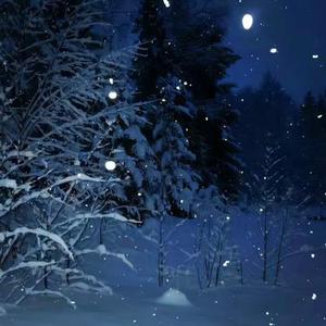 长大的愿望是找到one piece