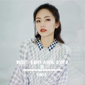 刘惜君-王赫野-大风吹-DJ国飞版