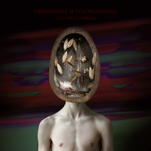 Конечности