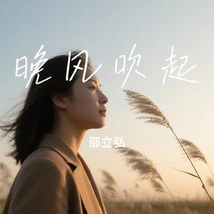 晚风吹起