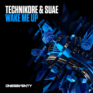 Wake Me Up (Extended Mix)