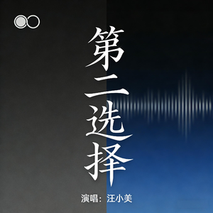 第二选择