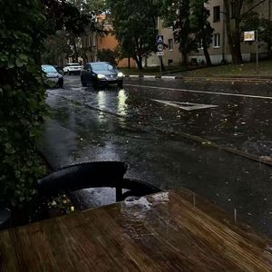 我们会在心绪共鸣时相见