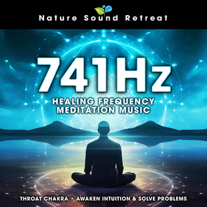 Vishuddha Meditation - 741Hz Chakra Balancing Music