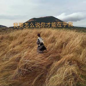 我要怎么说你才能在乎我
