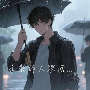 走散的人没回音