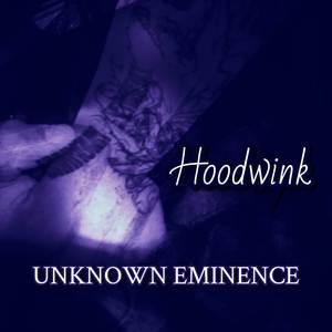Hoodwink