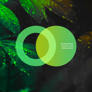 Dieresis (Original Mix)