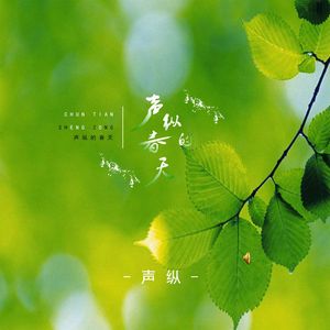 声纵的龙疆