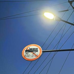 天涯处处无芳草