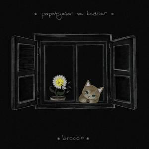 papatyalar ve kediler