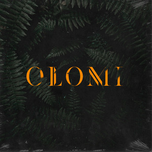 Olomi