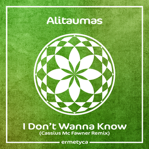 I Don’t Wanna Know (Cassius Mc Fawner Remix)