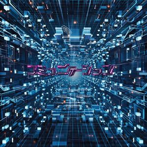 コミュニケーション