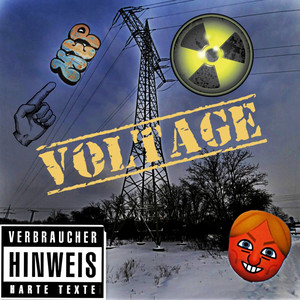 Voltage
