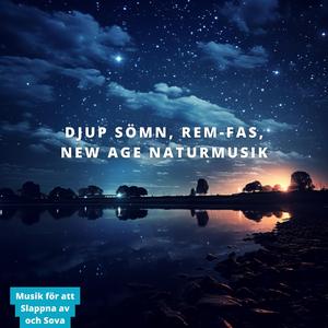 Berättelser Om Pilgrimer