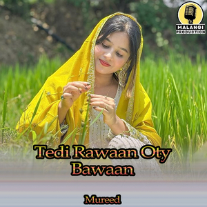 Tedi Rawaan Oty Bawaan (1)