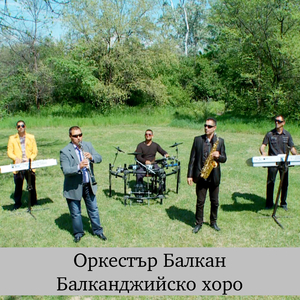 Нелинова ръченица