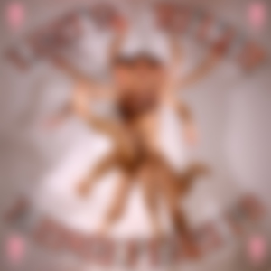 Zделали Сортир